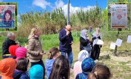 Un albero per celebrare i "Giusti": gli alunni di Montelupone omaggiano Giovanni Paolo II e Malala