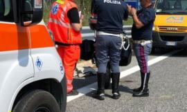 Auto si ribalta lungo l'A14 tra Porto Sant'Elpidio e Civitanova: feriti mamma e figlio