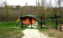 Appignano, gattile d’autore o spreco pubblico? Il singolare ‘caso’ del rifugio per gatti senza gatti
