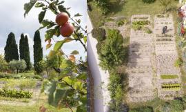 Recanati, due giorni di storie e tradizioni monacali: il Fai ospita la prima edizione di Hortus