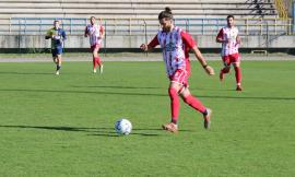 Maceratese, altra conferma: il difensore Matteo Nicolosi rimane in biancorosso