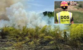 Vegetazione a fuoco nelle Marche, 3 interventi in una giornata: necessario l'elicottero antincendio