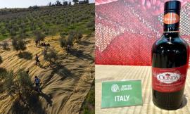 L'olio marchigiano conquista Tokyo: il monovarietale di Raggia sulla vetta del mondo