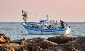 Rilancio della pesca e dell'acquacoltura: pronto il calendario degli incontri