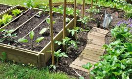 Vietato sprecare l'acqua, anche a Sarnano arriva l’ordinanza. Va centellinata per orti e giardini