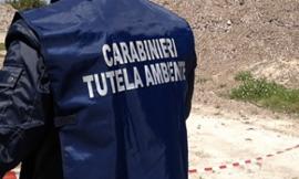 Rifiuti speciali stoccati illecitamente: denunciato imprenditore. Sequestrati beni per 270mila euro