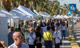 Civitanova, il lungomare si trasforma in orto botanico: torna con la versione autunnale "Il Mare in Fiore"