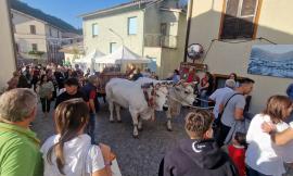 Dallo street food al labirinto di paglia: a Cessapalombo "Antichi sapori e ricchezze del bosco"