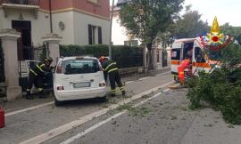 Scontro tra due auto, una abbatte un albero: una donna liberata dall'abitacolo dai vigili del fuoco