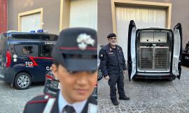 Cingoli, 12 giovani "marinano" la scuola: i carabinieri li rintracciano durante un servizio antidroga