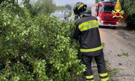 Maltempo Marche, allagamenti diffusi nell'Anconetano: chiuso tratto dell'A14