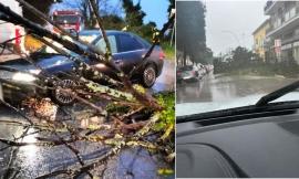 Il maltempo flagella la costa maceratese, rami e alberi caduti: vigili del fuoco in azione