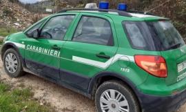 Appignano, scoperto deposito abusivo di materiali ferrosi: imprenditore denunciato