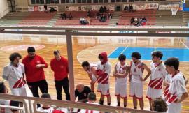 San Severino, la Climacalor cade: l'Ascoli Basket passa al Palaciarapica per 92-72