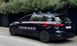 Sefro, violazione della privacy in una ditta di troticoltura: due denunciati per installazione illecita di telecamere