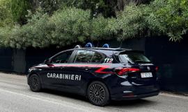 Cocaina, hashish e marijuana nel furgone: arrestato un 42enne