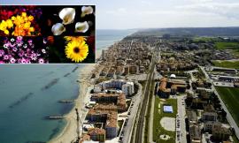 "Porto Recanati in Fiore", la città sboccia per celebrare la primavera: Corso Matteotti diventa un giardino a cielo aperto