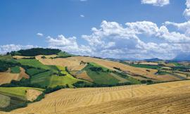 Aperte le candidature per la Summer School "Fresco": borse di studio per i giovani