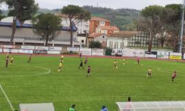 Eccellenza, il Tolentino resiste in dieci contro l'Urbino: verdetto playoff rimandato all'ultima giornata