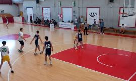 Sfide tra scuole al PalaVirtus di Macerata: Civitanova e Camerino trionfano nella fase provinciale di basket