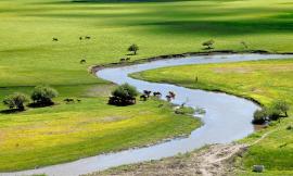 Dal deserto del Gobi alle steppe del nord: come cambia il paesaggio della Mongolia stagione per stagione