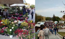 Serrapetrona, Caccamo in fiore: colori, tradizioni e sapori per celebrare il 25 aprile tra natura e bellezza