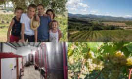 Matelica, dalla tipografia alla viticoltura biodinamica. Casa Lucciola: "L'artigianalità il nostro punto di forza"