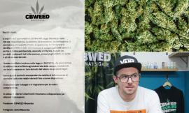 Stop alla cannabis light, a Macerata chiude lo shop: "Non sappiamo cosa fare, col Governo Meloni niente più confronto"