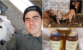 "Il viaggio dei nostri bovini? Tutto racchiuso tra le colline di San Severino": la società agricola Cruciani si racconta