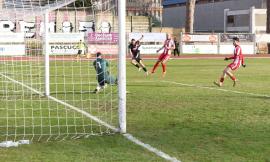 Eccellenza - Montecchio-Tolentino, chi vince la finale playoff accede alla fase nazionale: possibili avversarie, regolamento e date