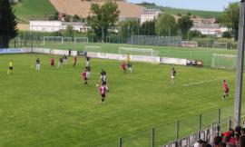 Eccellenza, il K-Sport Montecchio vince la finale playoff: il Tolentino cade sul più bello, non basta Moscati