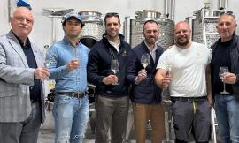 Cantine Aperte brinda al successo: Matelica accoglie visitatori da tutta Italia e dall’estero