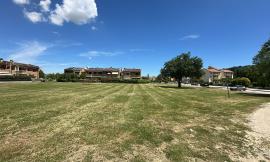 Riqualificazione giardini Palatucci a Villa Potenza: 37mila euro per la seconda tranche di lavori