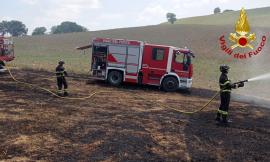 San Severino, incendio a Serralta: in fiamme sterpaglie e 15 rotoballe di fieno, bruciati 1,5 ettari