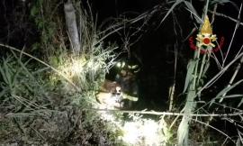 Cane precipita in un dirupo profondo 20 metri: intervengono i Vigili del Fuoco
