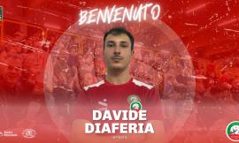 Pallavolo Macerata, freccia campana per l'arco di coach Giannini: ufficiale l'opposto Davide Diaferia
