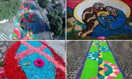 Corridonia si prepara all’Infiorata del Corpus Domini: una festa di colori, fede e solidarietà