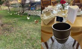 Agriturismo La Finestrella, una storia lunga 27 anni: la famiglia Pelati e il cuore della cucina marchigiana