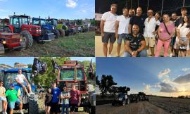 Treia, Camporota a trazione agricola: alla Sagra del Maialino i trattori guidano la tradizione