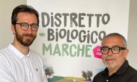 Tolentino, Andrea Passacantando è il nuovo presidente del Distretto Biologico Marche