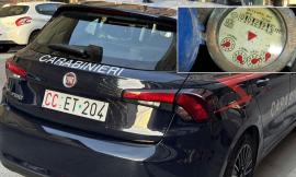 Macerata, furto d'acqua potabile per 100 metri cubi: denunciato 38enne. A Civitanova fermata una donna