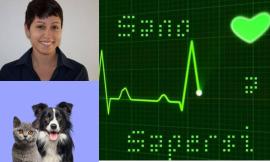 Pet-Therapy: il potere degli animali nel migliorare salute e benessere