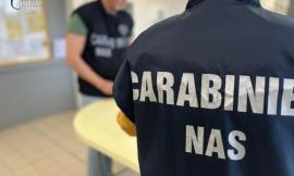 Civitanova, nella pasticceria ragnatele e sporcizia: arrivano i Nas e scatta la multa