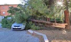 Allerta arancione per vento nelle Marche: raffiche fino a "tempesta violenta" nell’entroterra maceratese