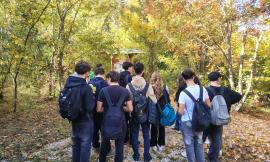 Orientamento e scienza sul campo: gli studenti del liceo scientifico di Civitanova in visita alle strutture Unicam