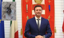 "Nessuna crudeltà umana, per il gattino fatale l'attacco di un altro animale": chiarito il caso di Tolentino "Nessuna crudeltà umana, per il gattino fatale l'attacco di un altro animale": chiarito il caso di Tolentino