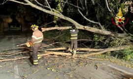 Maltempo nelle Marche: 140 interventi dei Vigili del Fuoco per il forte vento