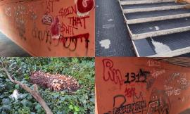 "Ratti, sporcizia e muri imbrattati. Via Ancona una discarica a cielo aperto. Il Comune faccia qualcosa"