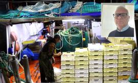 "Per salvare uno scampo in più rischiamo di togliere il lavoro a decine di migliaia di pescatori"