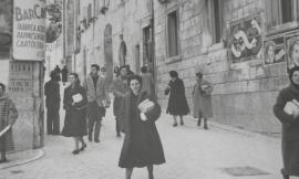 Avis Cingoli, "Le donatrici sono sotto la metà degli iscritti": un Calendario per sensibilizzare